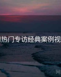 秀人网热门专访经典案例视角独到