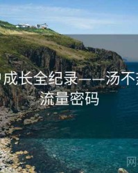 权威用户成长全纪录——汤不热网页版流量密码