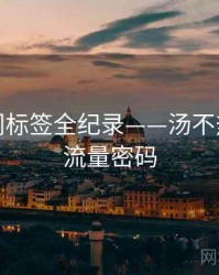 重磅热门标签全纪录——汤不热网页版流量密码