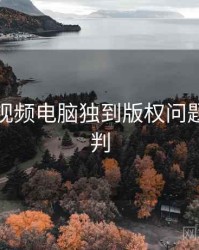 汤不热视频电脑独到版权问题风向研判