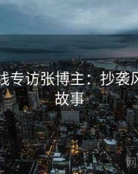 吃瓜在线专访张博主：抄袭风波幕后故事
