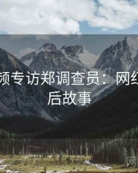 新91视频专访郑调查员：网红事件幕后故事