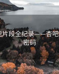 高清高能片段全纪录——杏吧app流量密码