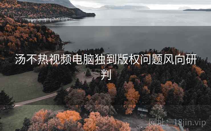 汤不热视频电脑独到版权问题风向研判